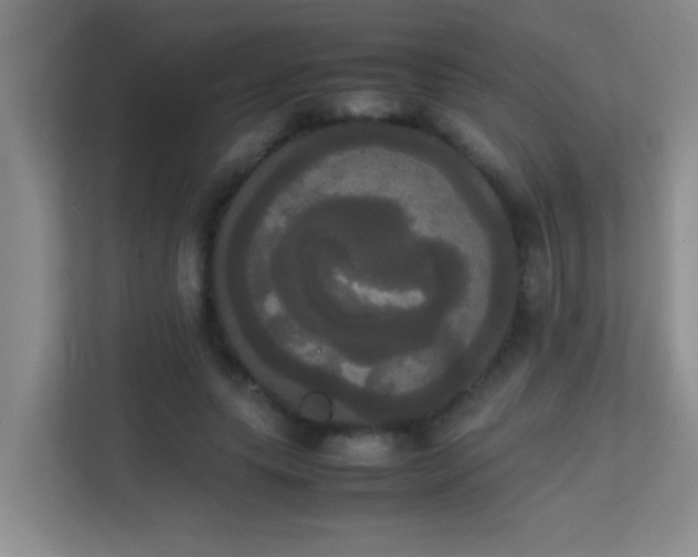 X0000113850639200909241248