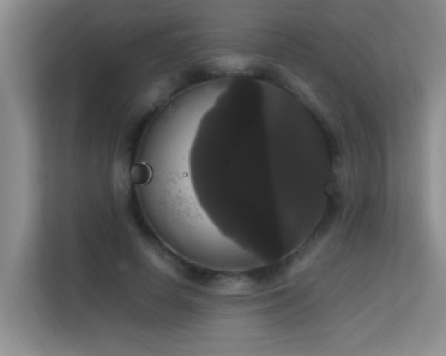 X0000113850642200909241248