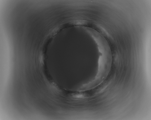 X0000113850643200909241248