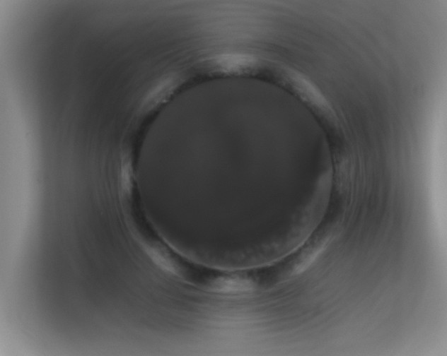 X0000113850644200909241248