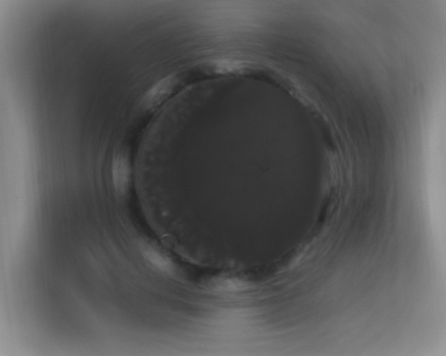 X0000113850648200909241248