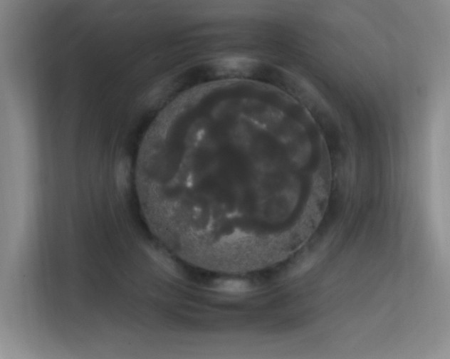 X0000113850649200909241248