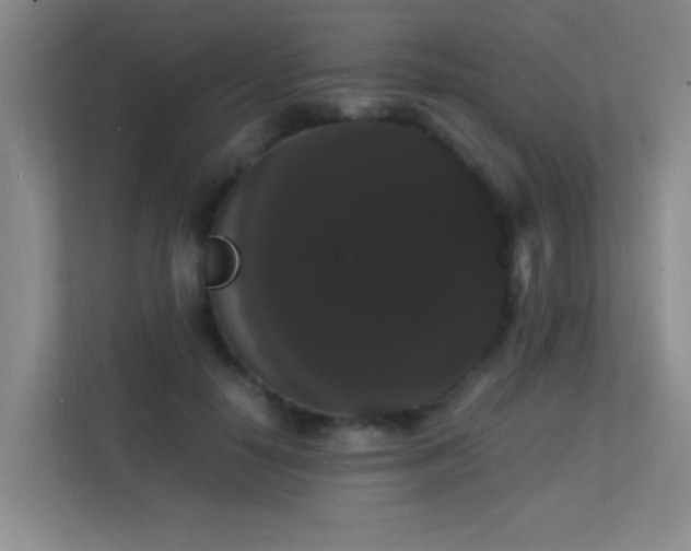 X0000113850650200909241248