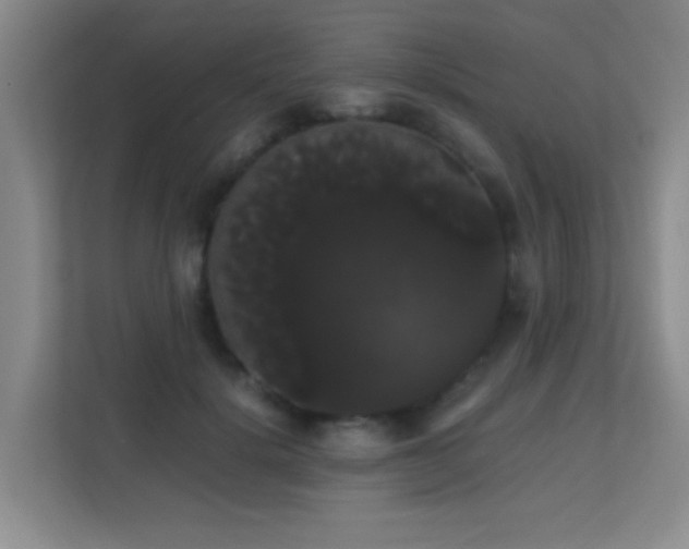 X0000113850652200909241248