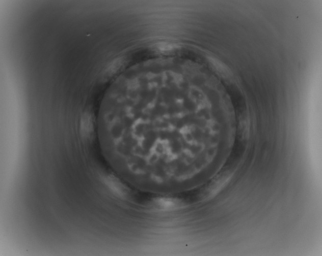 X0000113850654200909241248