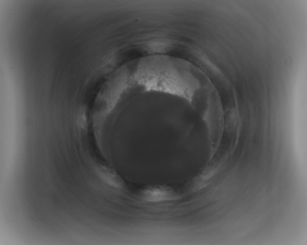 X0000113850655200909241248