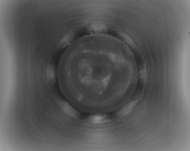 X0000113850662200909241249