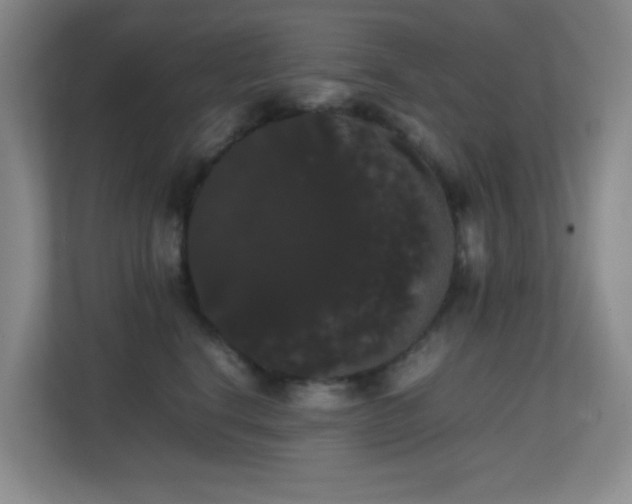 X0000113850664200909241249