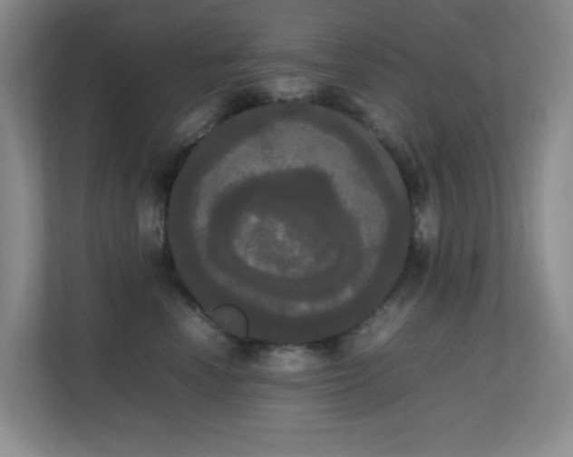 X0000113850666200909241249