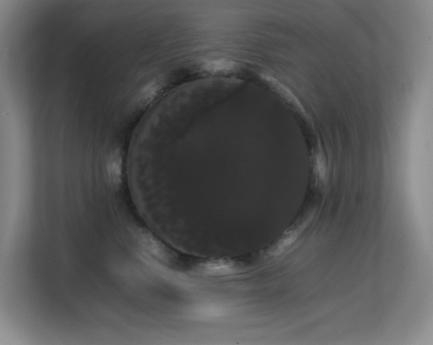 X0000113850668200909241249