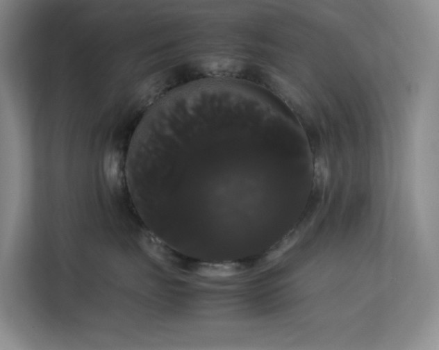 X0000113850671200909241249