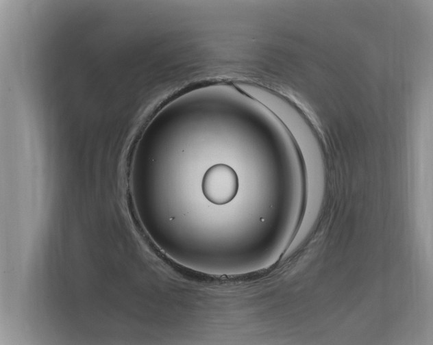 X0000113850673200909241248