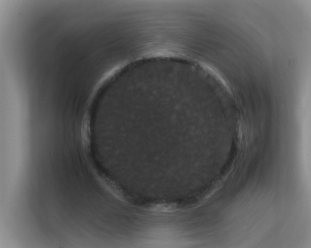 X0000113850680200909241248