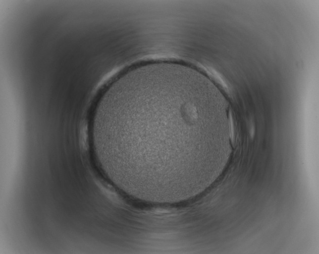 X0000113850684200909241248