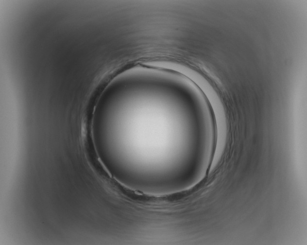 X0000113850685200909241248