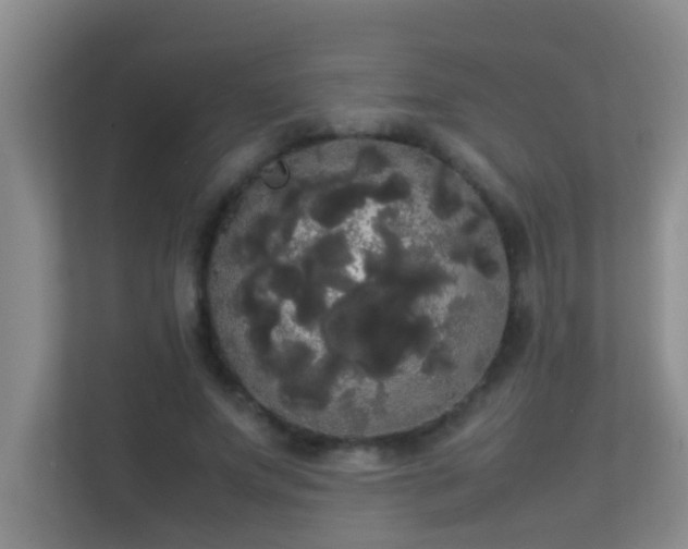 X0000113850687200909241248