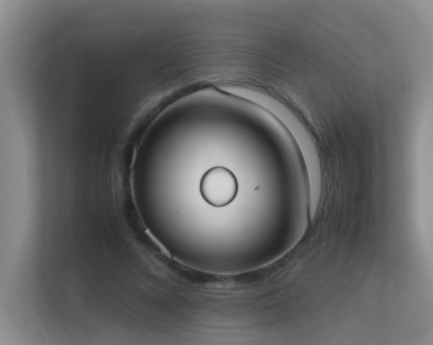 X0000113850688200909241248