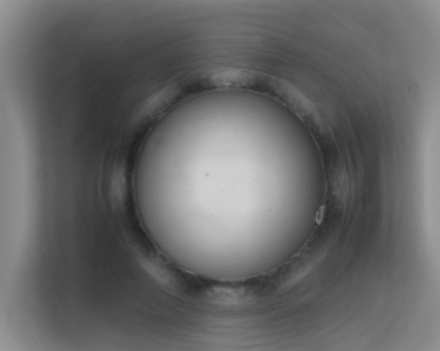 X0000113850690200909241248