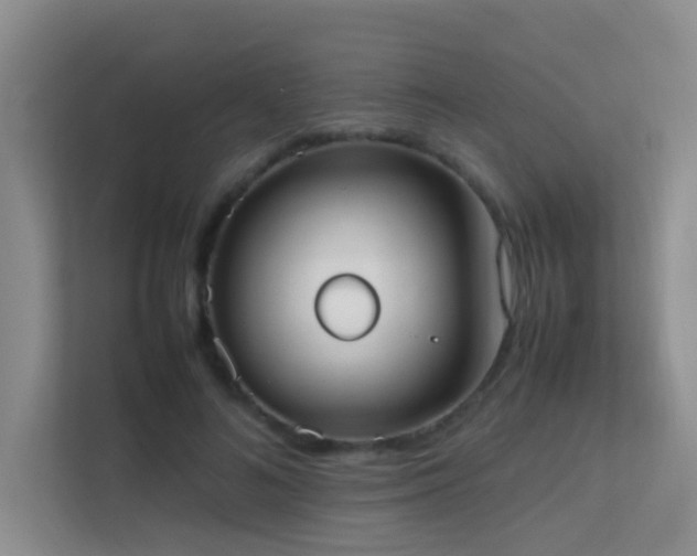 X0000113850692200909241248