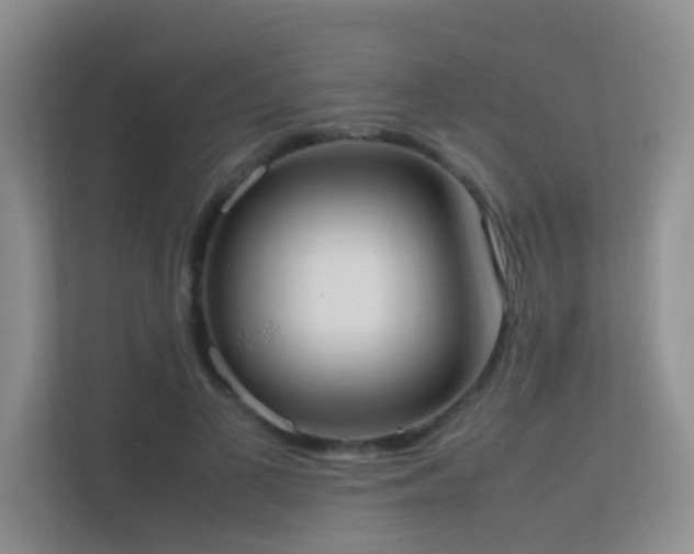 X0000113850693200909241248