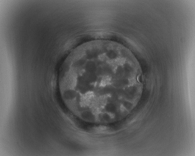 X0000113850695200909241248