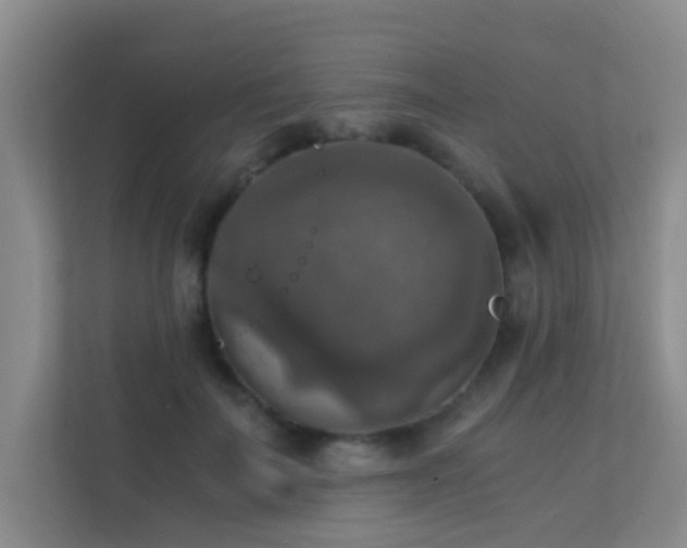 X0000113850699200909241248