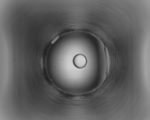 X0000113850700200909241248