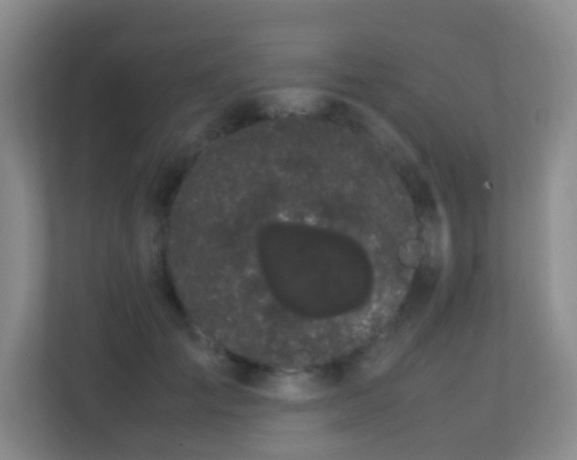 X0000113850701200909241248