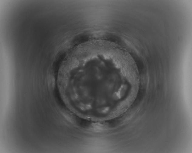 X0000113850703200909241247