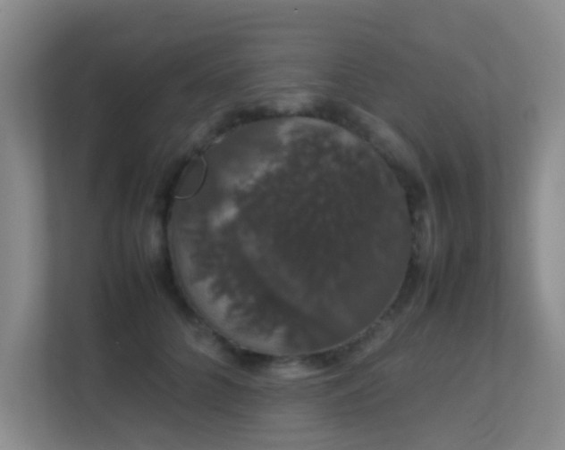 X0000113850704200909241247