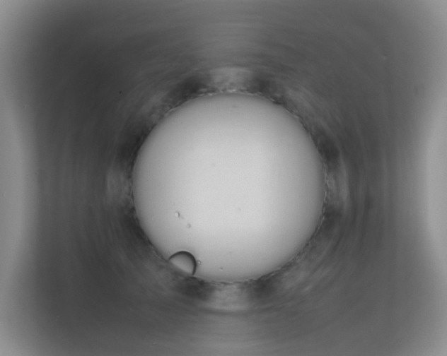 X0000113850705200909241247