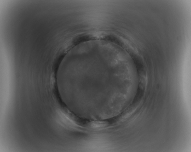 X0000113850707200909241247