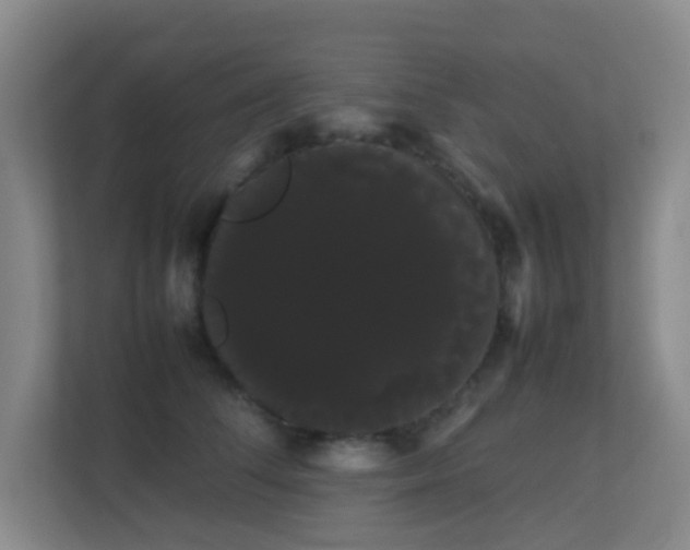 X0000113850708200909241247