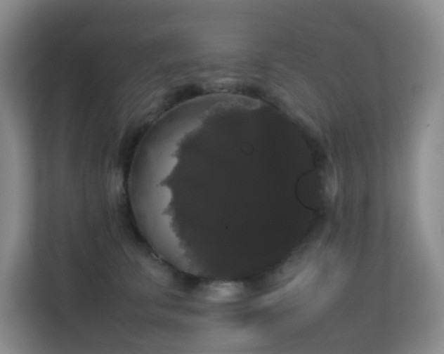 X0000113850711200909241247