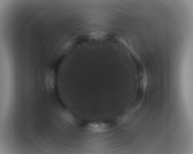 X0000113850712200909241247