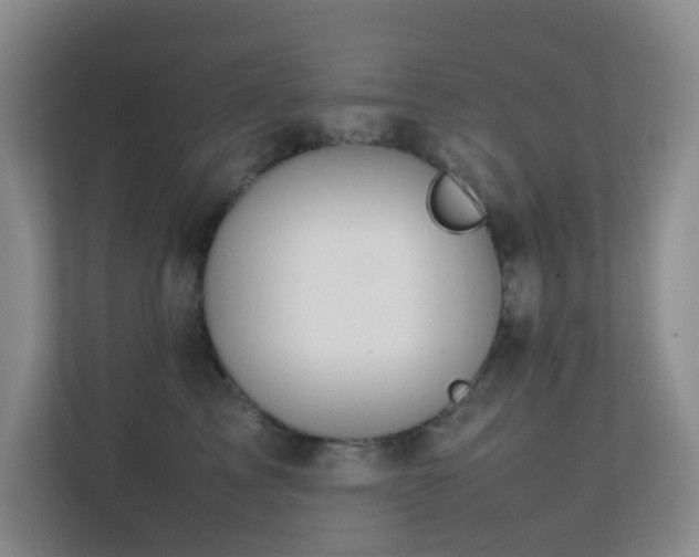 X0000113850713200909241247