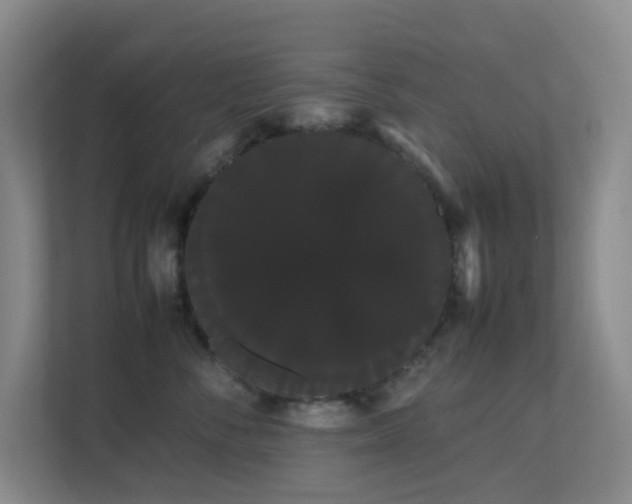 X0000113850716200909241247