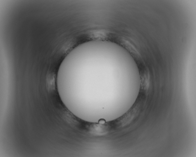 X0000113850717200909241247