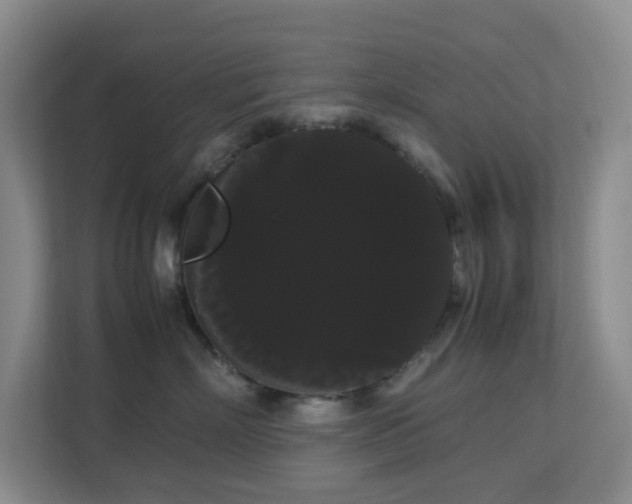 X0000113850718200909241247