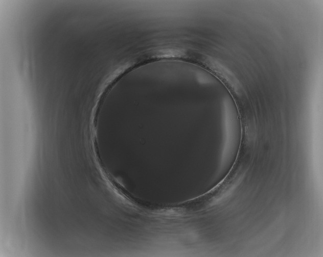 X0000113850721200909241247