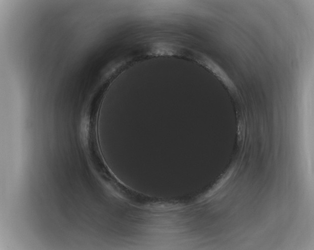 X0000113850722200909241247