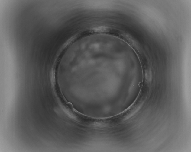 X0000113850725200909241247