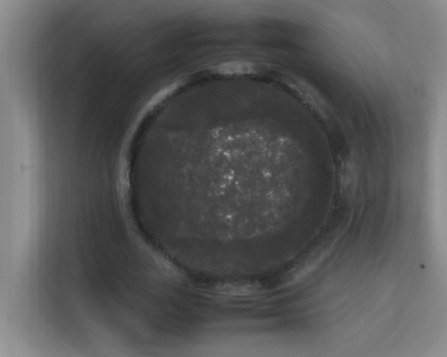 X0000113850727200909241247