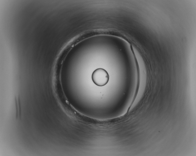 X0000113850728200909241247