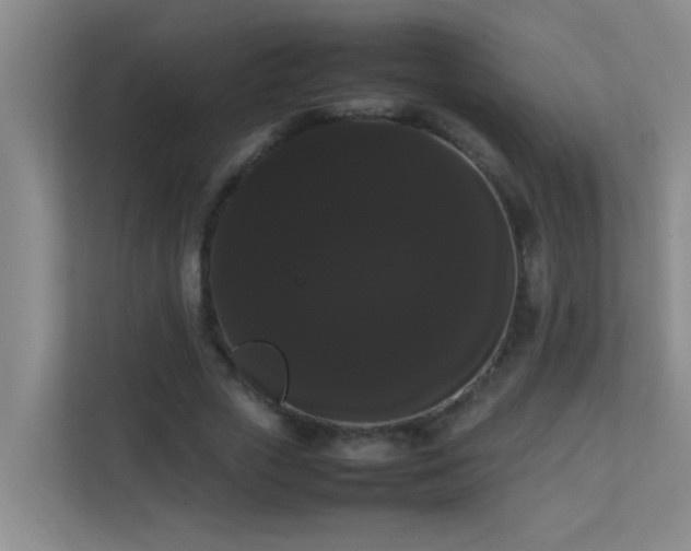 X0000113850729200909241247