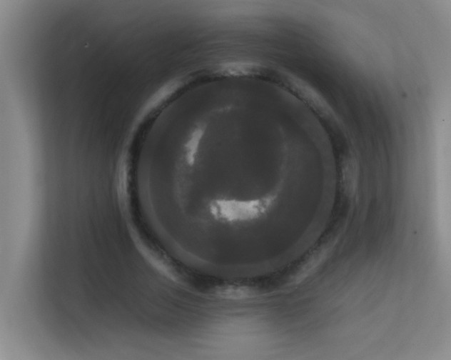 X0000113850730200909241247