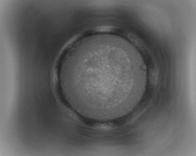 X0000113850731200909241247