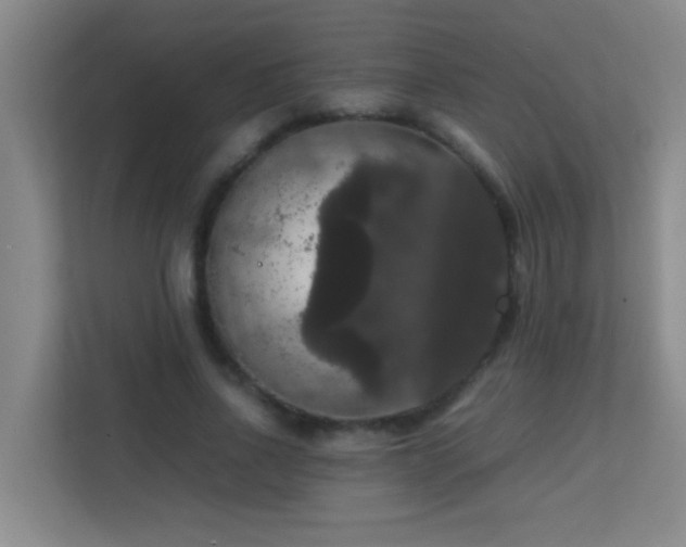 X0000113850734200909241247