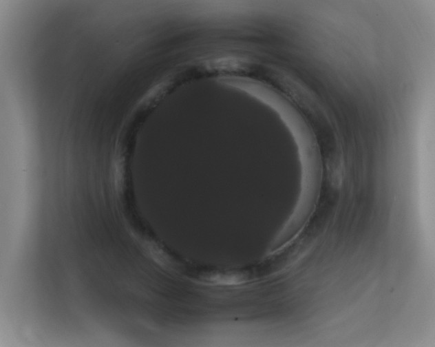 X0000113850735200909241247