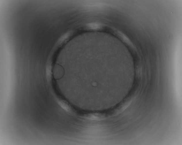 X0000113850736200909241247